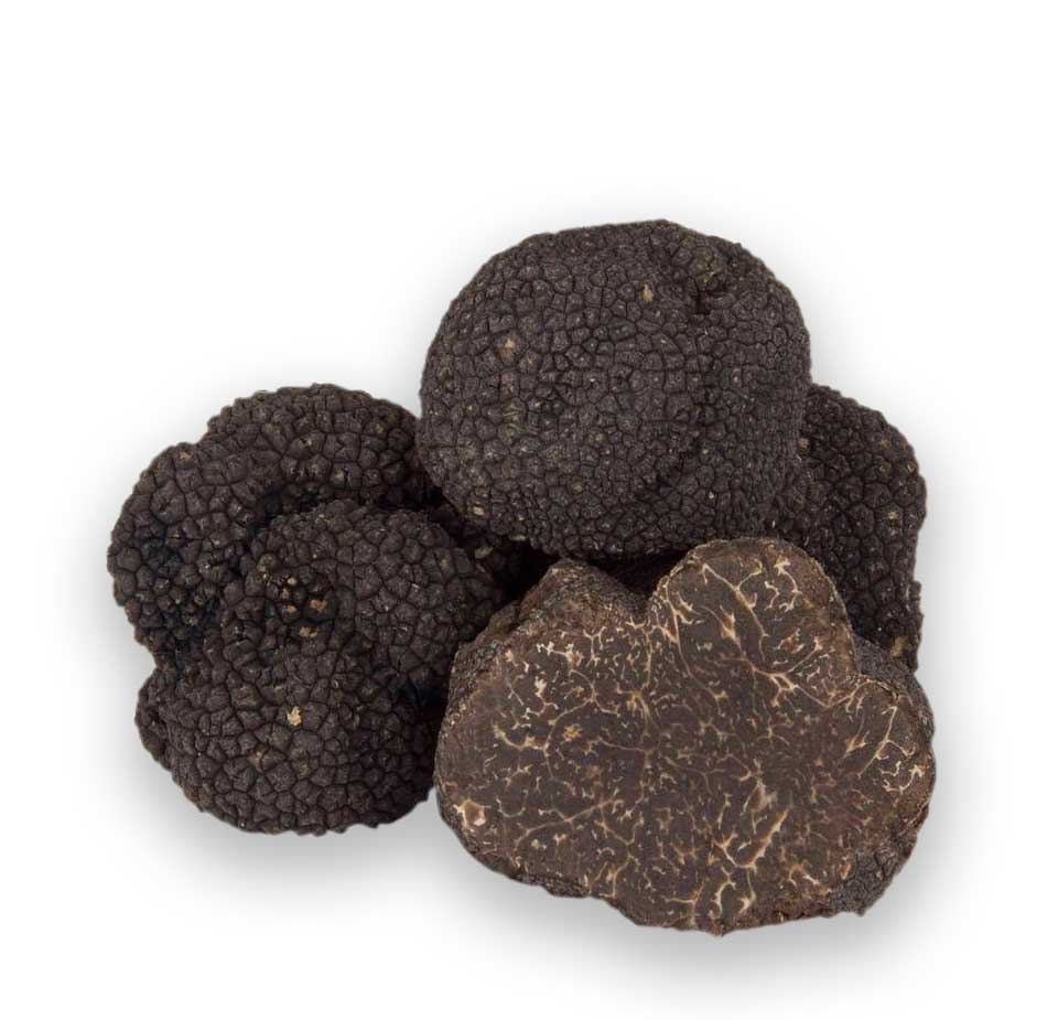 tartufo_nero_pregiato